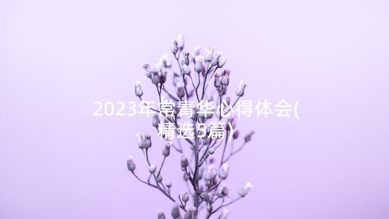 2023年常青华心得体会(精选5篇)