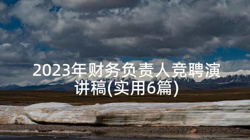 2023年财务负责人竞聘演讲稿(实用6篇)