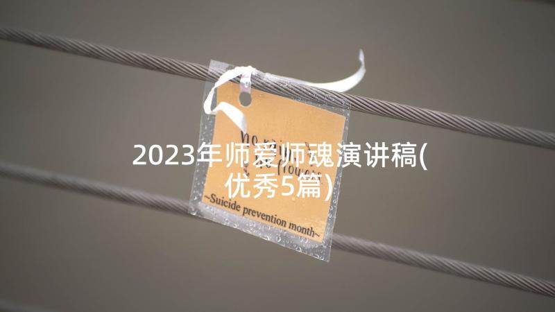 2023年师爱师魂演讲稿(优秀5篇)