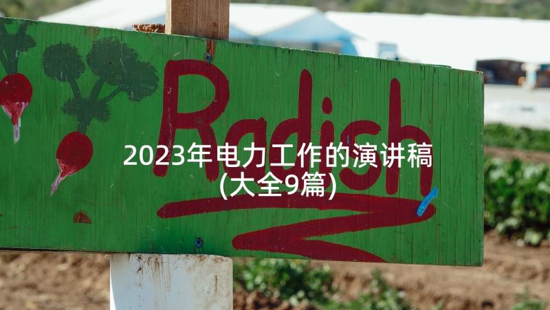 2023年电力工作的演讲稿(大全9篇)