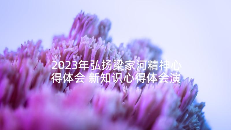 2023年弘扬梁家河精神心得体会 新知识心得体会演讲稿(模板9篇)