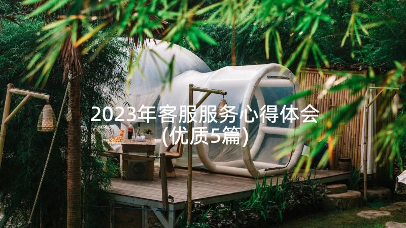 2023年客服服务心得体会(优质5篇)