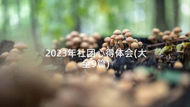 2023年社团心得体会(大全9篇)