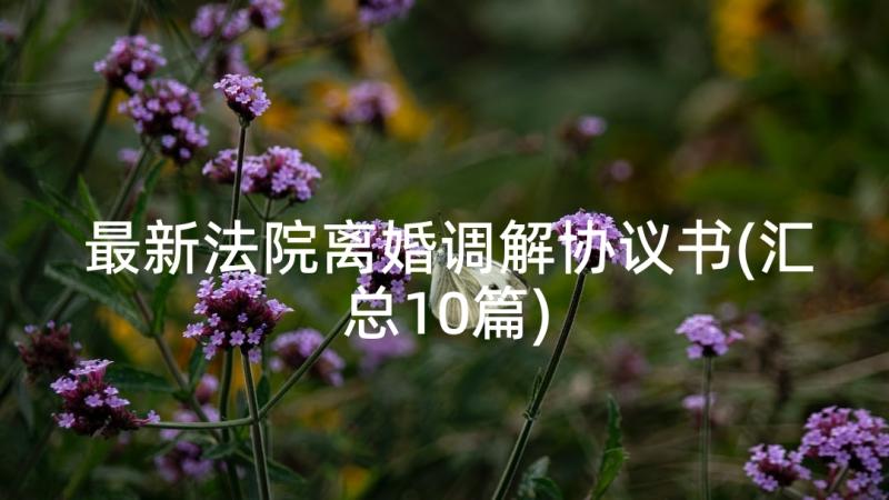 最新法院离婚调解协议书(汇总10篇)