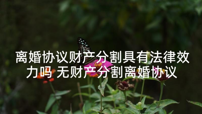 离婚协议财产分割具有法律效力吗 无财产分割离婚协议(优秀9篇)