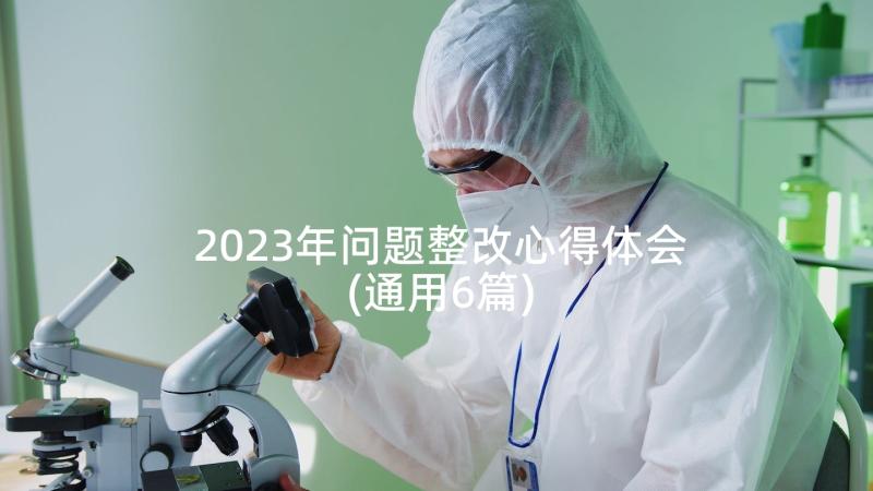 2023年问题整改心得体会(通用6篇)