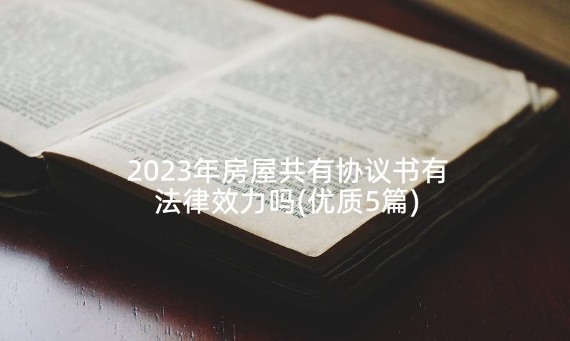 2023年房屋共有协议书有法律效力吗(优质5篇)