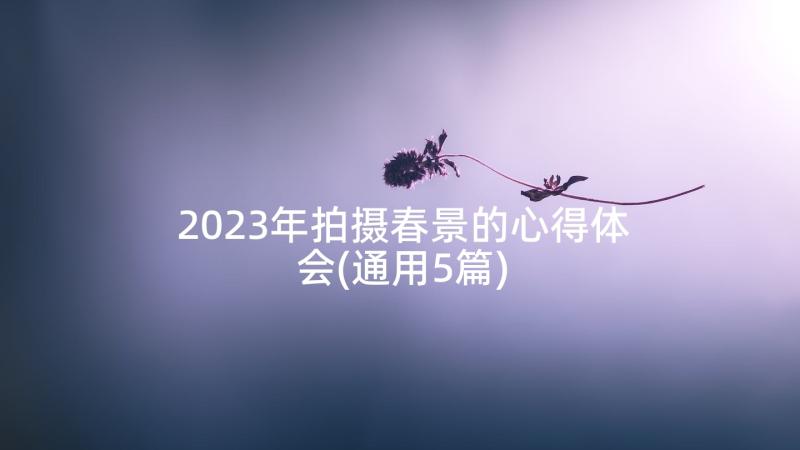 2023年拍摄春景的心得体会(通用5篇)