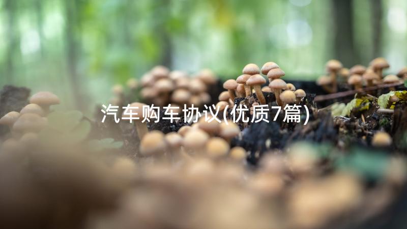 汽车购车协议(优质7篇)