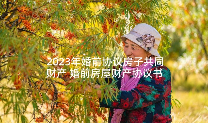 2023年婚前协议房子共同财产 婚前房屋财产协议书(大全5篇)