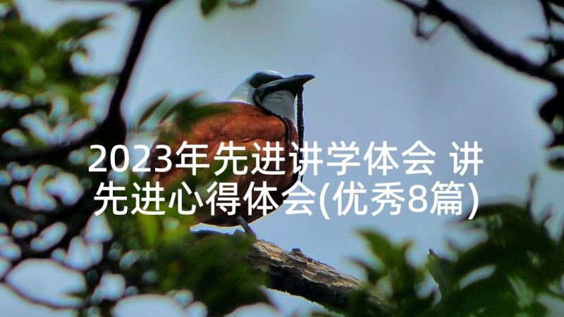 2023年先进讲学体会 讲先进心得体会(优秀8篇)