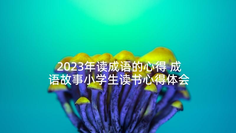 2023年读成语的心得 成语故事小学生读书心得体会(精选5篇)