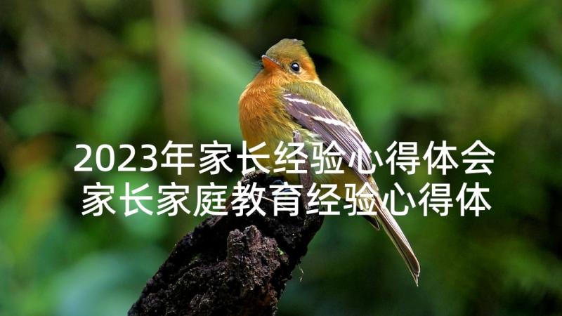 2023年家长经验心得体会 家长家庭教育经验心得体会(大全5篇)