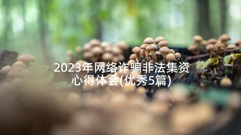 2023年网络诈骗非法集资心得体会(优秀5篇)