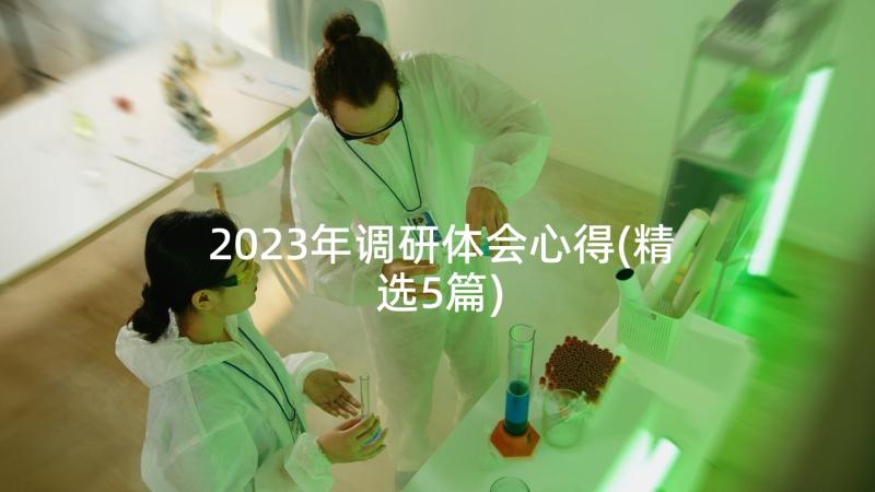 2023年调研体会心得(精选5篇)
