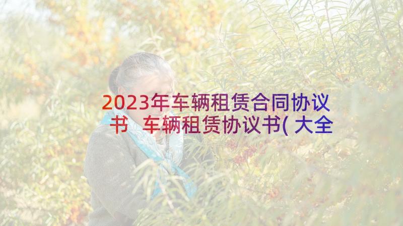 2023年车辆租赁合同协议书 车辆租赁协议书(大全7篇)