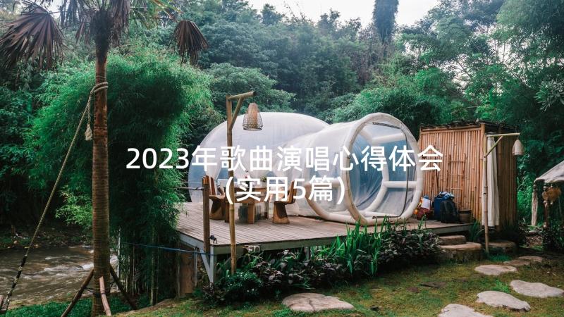 2023年歌曲演唱心得体会(实用5篇)