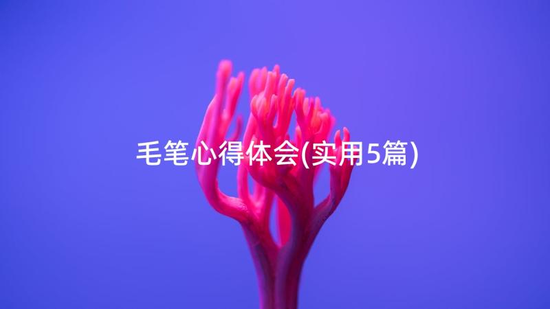 毛笔心得体会(实用5篇)