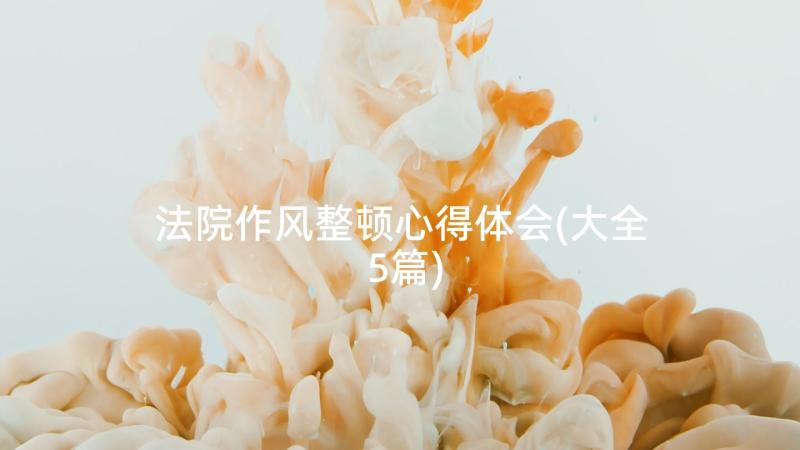 法院作风整顿心得体会(大全5篇)