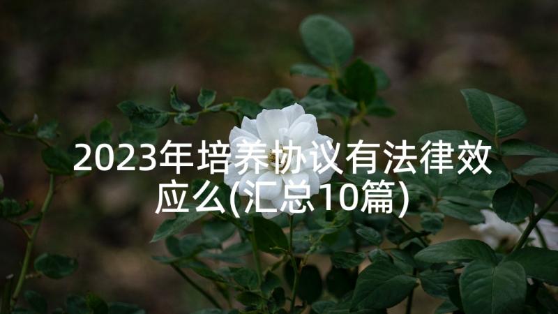 2023年培养协议有法律效应么(汇总10篇)