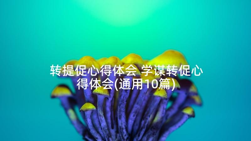 转提促心得体会 学谋转促心得体会(通用10篇)