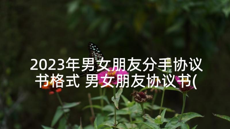 2023年男女朋友分手协议书格式 男女朋友协议书(通用10篇)