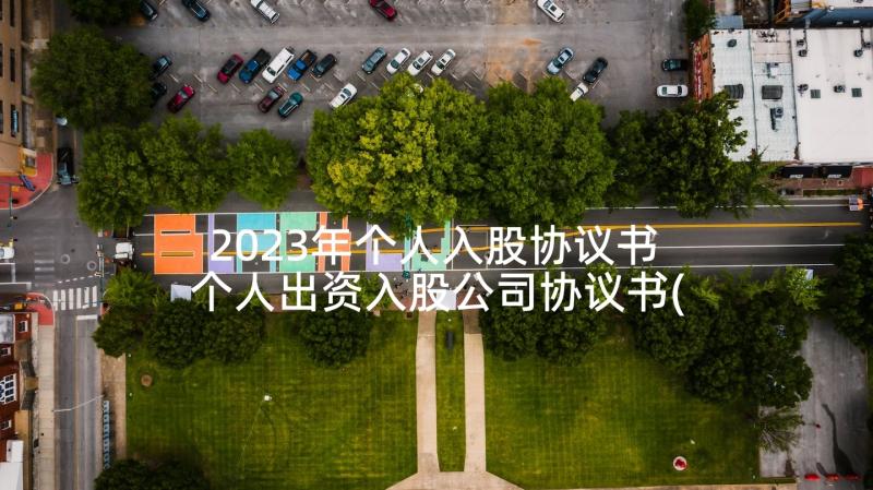 2023年个人入股协议书 个人出资入股公司协议书(精选5篇)