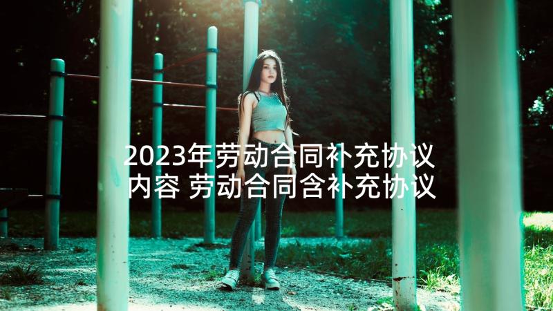 2023年劳动合同补充协议内容 劳动合同含补充协议(大全10篇)