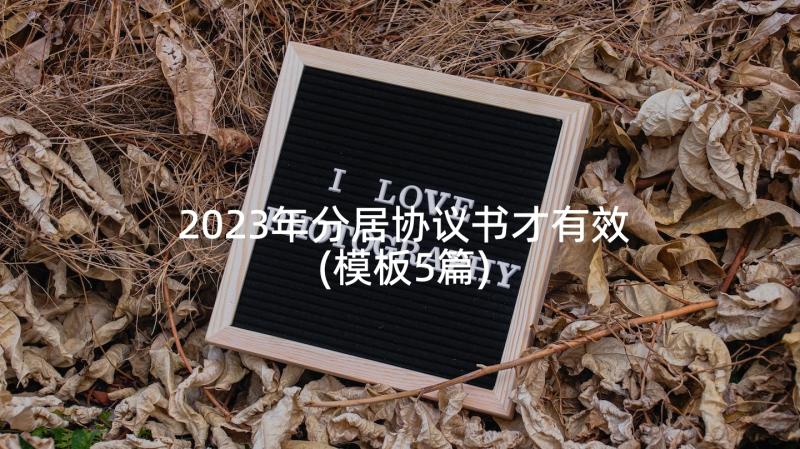 2023年分居协议书才有效(模板5篇)