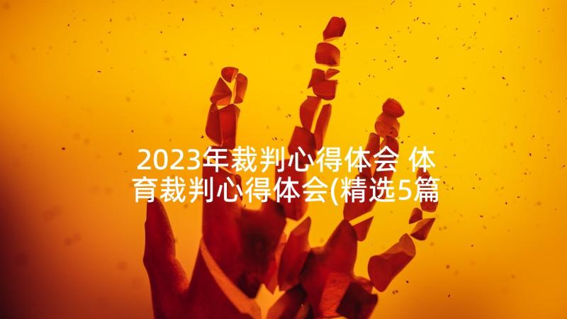 2023年裁判心得体会 体育裁判心得体会(精选5篇)