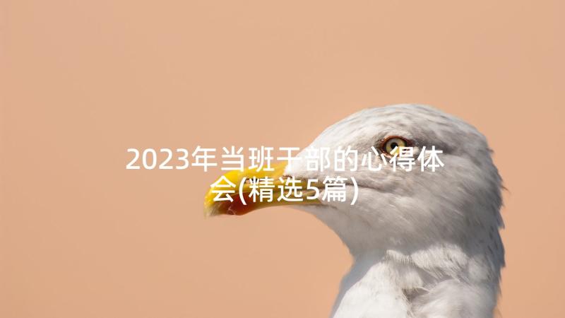 2023年当班干部的心得体会(精选5篇)