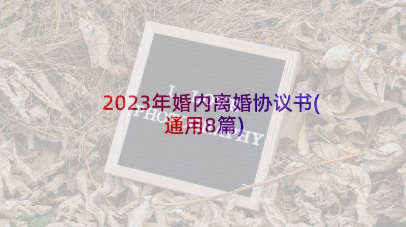 2023年婚内离婚协议书(通用8篇)