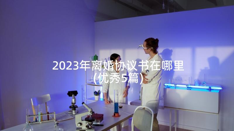 2023年离婚协议书在哪里(优秀5篇)