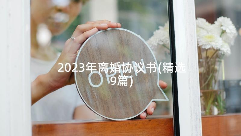 2023年离婚协议书(精选9篇)