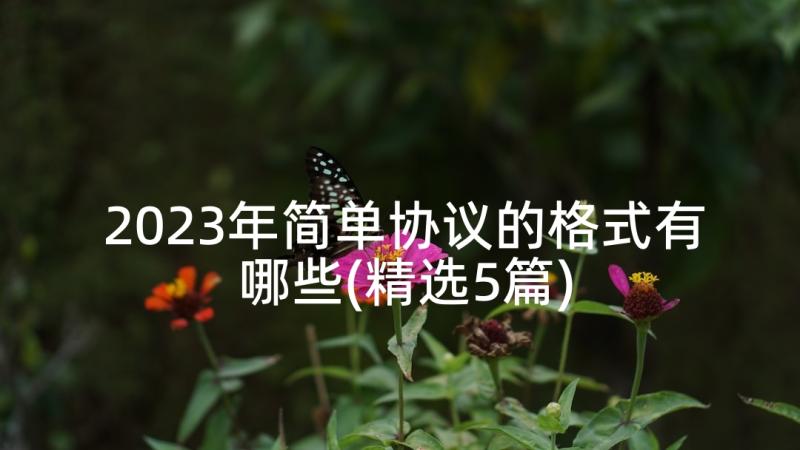 2023年简单协议的格式有哪些(精选5篇)