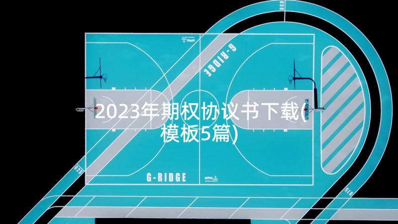 2023年期权协议书下载(模板5篇)