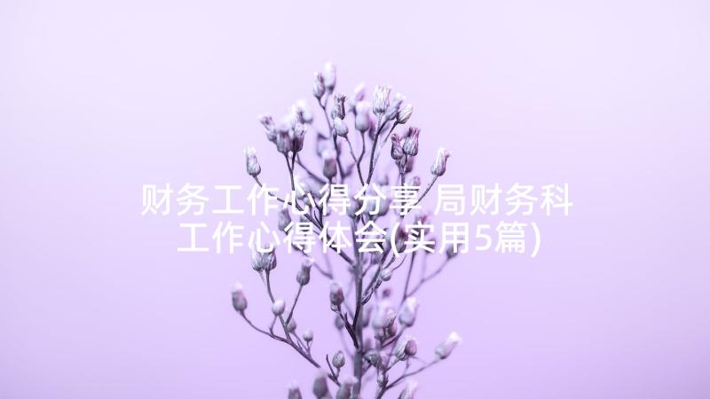 财务工作心得分享 局财务科工作心得体会(实用5篇)