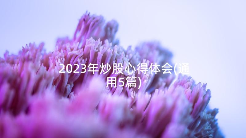 2023年炒股心得体会(通用5篇)