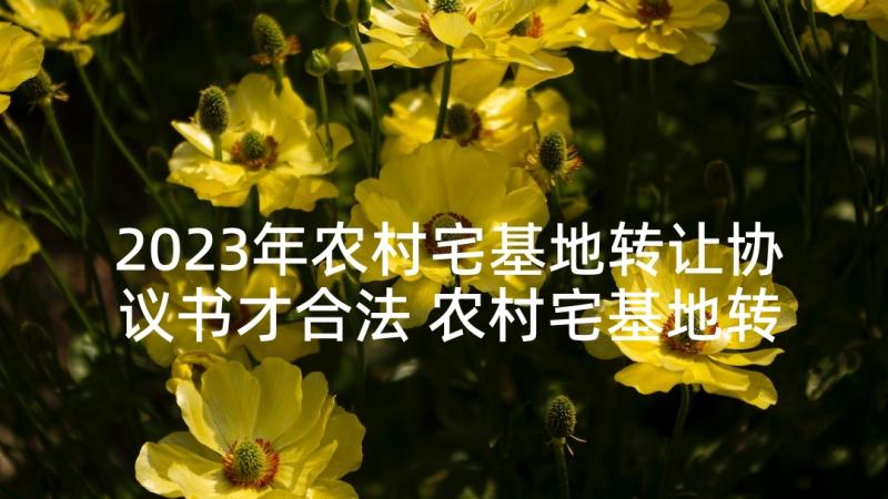 2023年农村宅基地转让协议书才合法 农村宅基地转让协议书(汇总6篇)