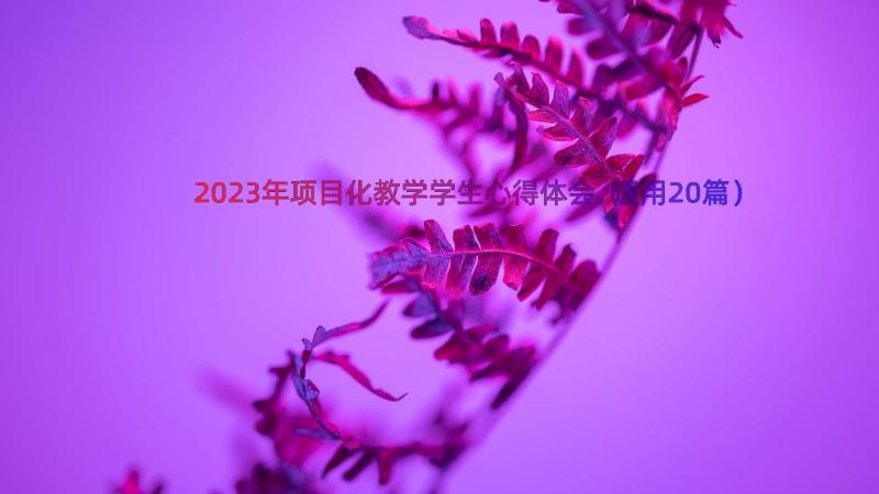 2023年项目化教学学生心得体会（通用20篇）