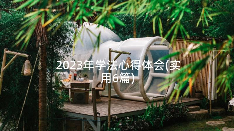 2023年学法心得体会(实用6篇)