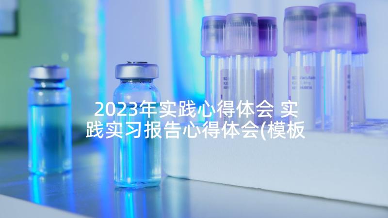 2023年实践心得体会 实践实习报告心得体会(模板6篇)