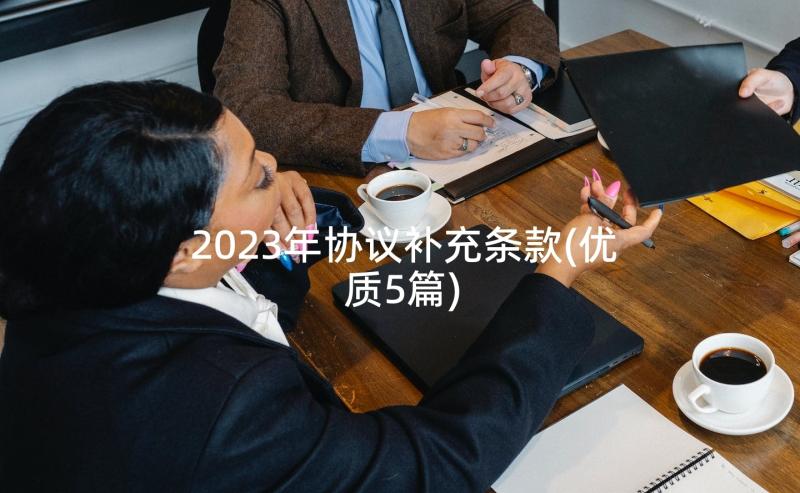 2023年协议补充条款(优质5篇)