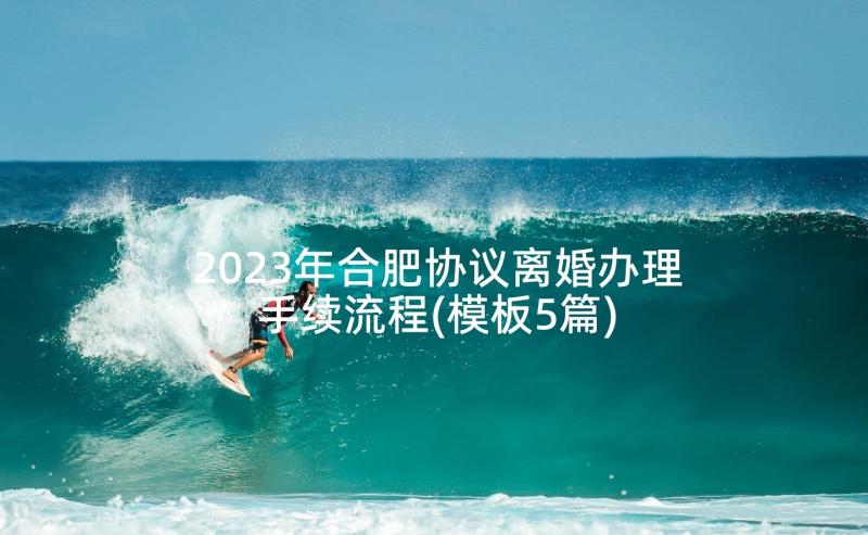 2023年合肥协议离婚办理手续流程(模板5篇)