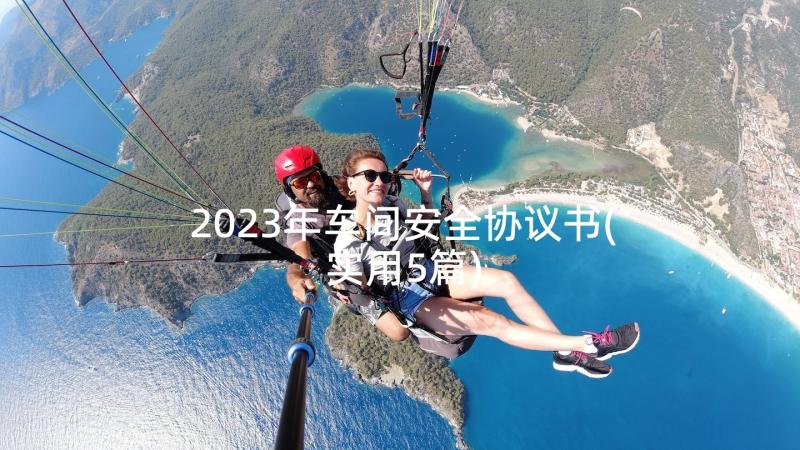 2023年车间安全协议书(实用5篇)