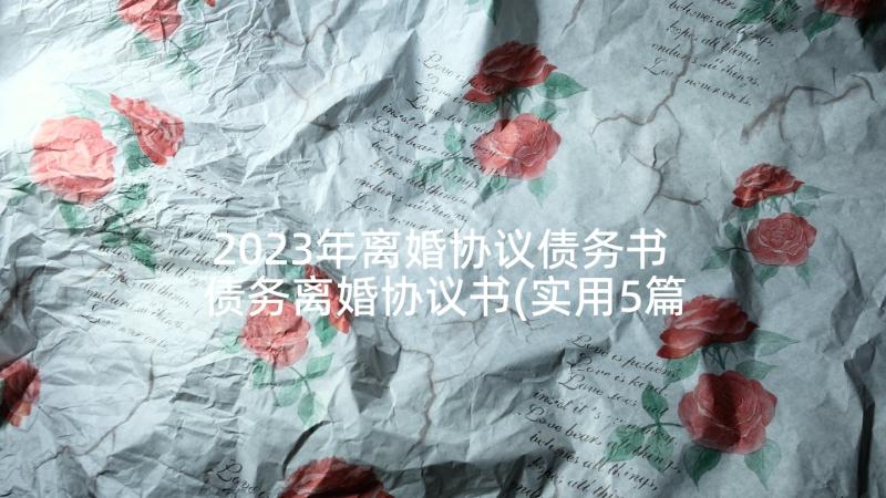 2023年离婚协议债务书 债务离婚协议书(实用5篇)