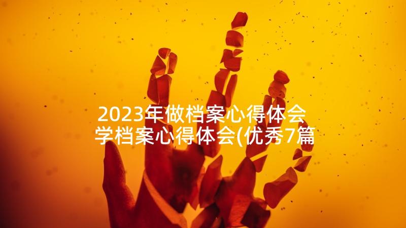 2023年做档案心得体会 学档案心得体会(优秀7篇)