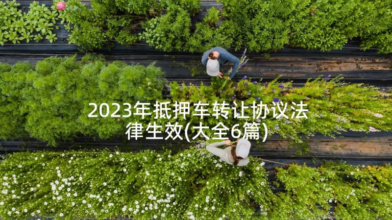 2023年抵押车转让协议法律生效(大全6篇)