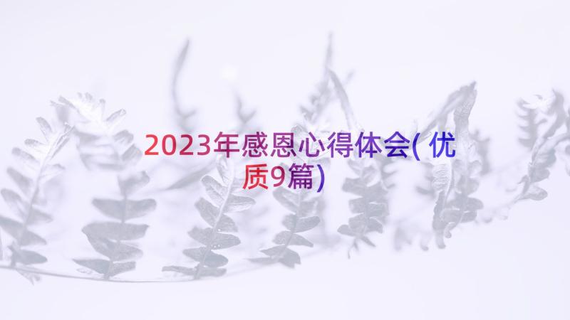 2023年感恩心得体会(优质9篇)