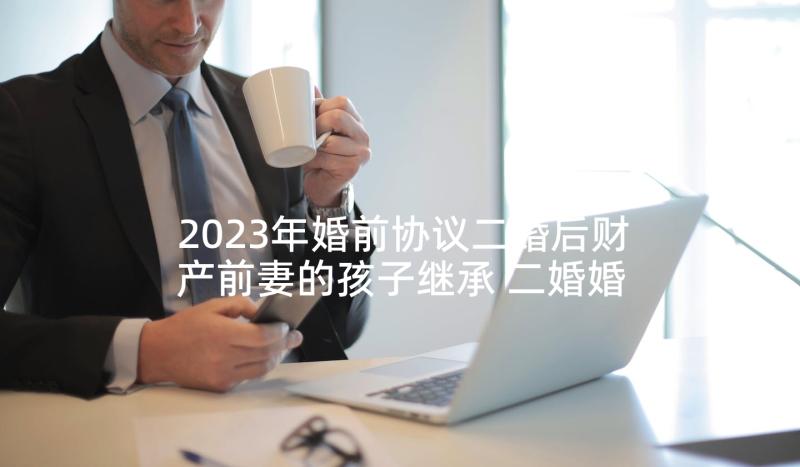 2023年婚前协议二婚后财产前妻的孩子继承 二婚婚前协议书(精选5篇)